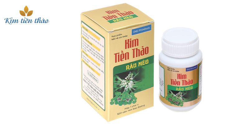 Kim tiền thảo trị bệnh gì